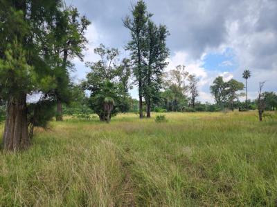 Bela Bela, Limpopo, 南アフリカ