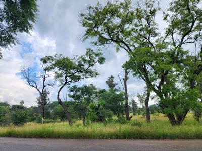 Bela Bela, Limpopo, 남아프리카