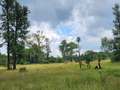 Bela Bela, Limpopo, 남아프리카