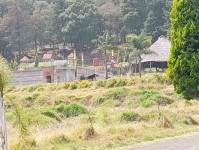 'Almanzingo o Cuautenampa' Carretera México-Cuautla S/N,, Tlalmanalco, Estado De México 56730, Mexiko