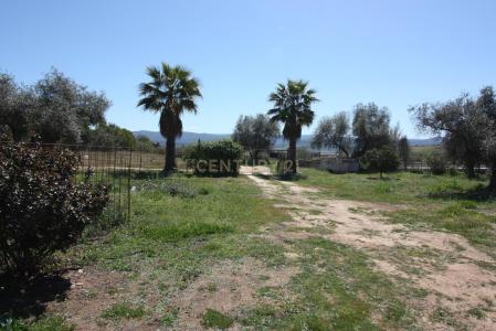 بطليوس, إكستريمادورا 06340, إسبانيا