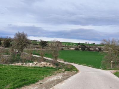 Lleida, Cataluña/Catalunya 25211, Spain