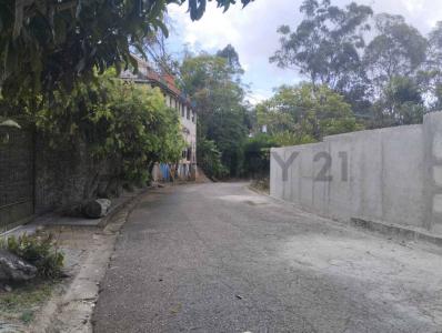 Carrizal, Miranda 1203, ונצואלה