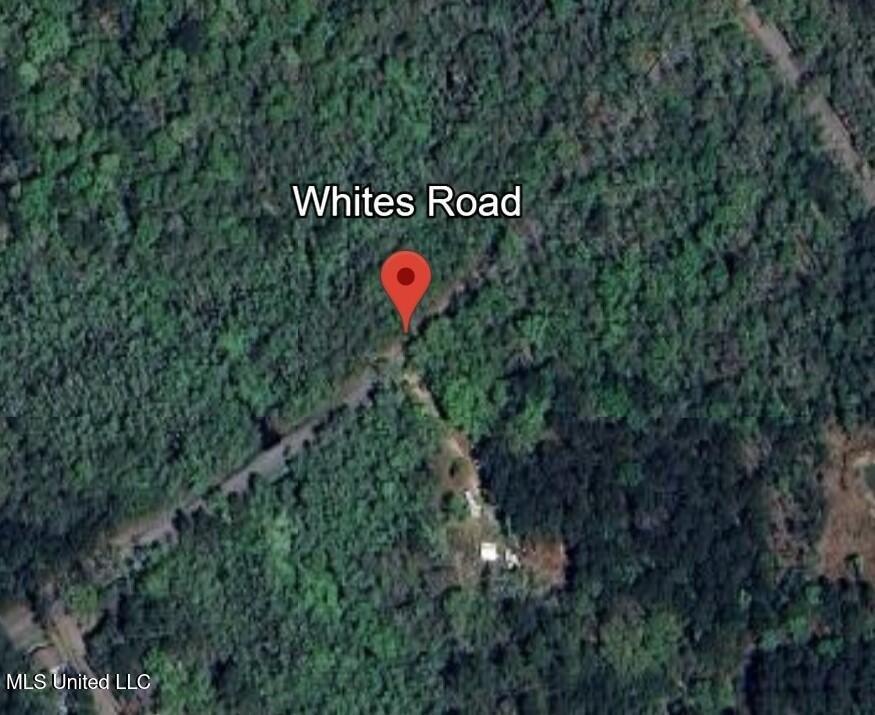 Whites Road, Pearlington, ميسيسيبي 39572, الولايات المتحدة