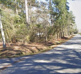 Whites Road Road, Pearlington, 密西西比州 39572, 美国