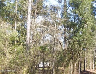 Whites Road Road, Pearlington, 密西西比州 39572, 美国