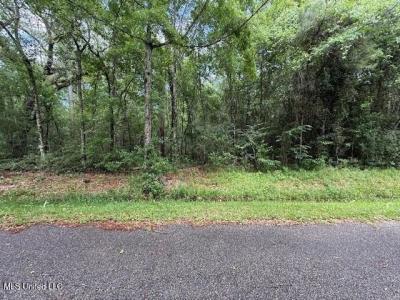 Whites Road Road, Pearlington, 密西西比州 39572, 美国