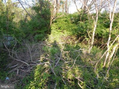 Lot 93 Siebert Street, Martinsburg, WV 25404, USA