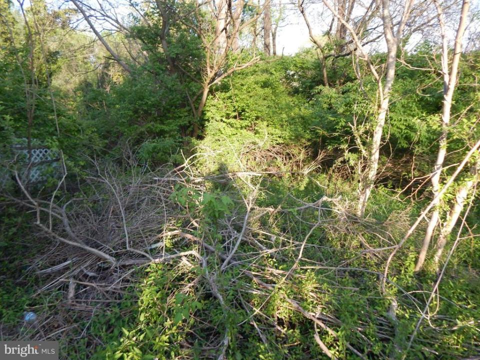 Lot 93 Siebert Street, Martinsburg, Virgínia Ocidental 25404, Estados Unidos