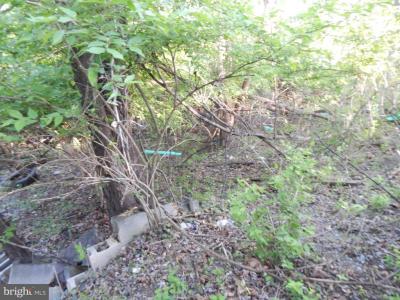 Lot 93 Siebert Street, Martinsburg, Virgínia Ocidental 25404, Estados Unidos