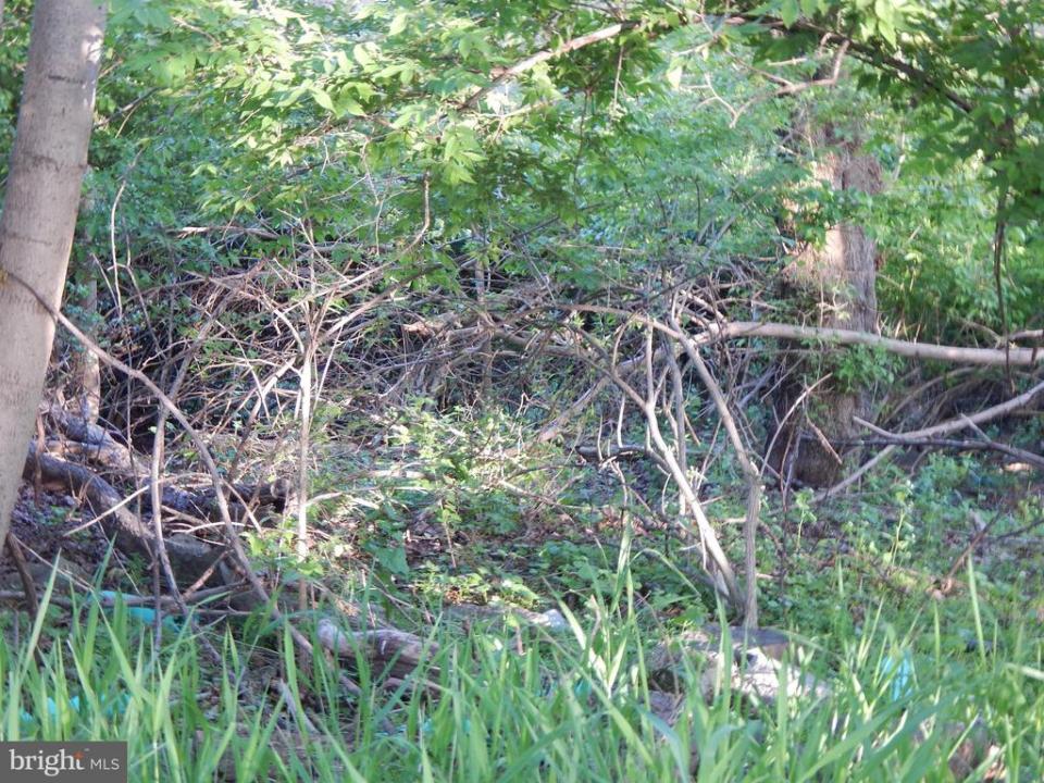 Lot 92 Siebert Street, Martinsburg, West Virginia 25404