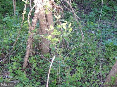 Lot 92 Siebert Street, Martinsburg, West Virginia 25404
