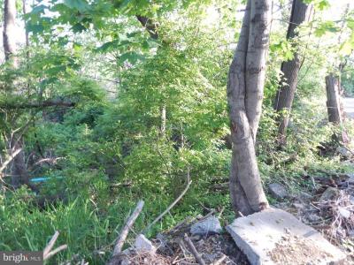 Lot 92 Siebert Street, Martinsburg, West Virginia 25404