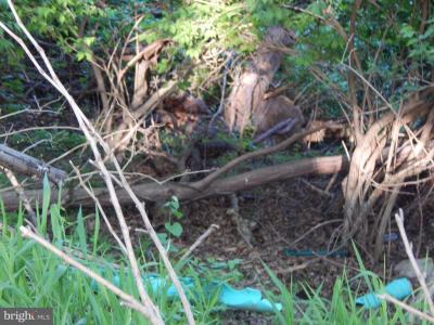 Lot 92 Siebert Street, Martinsburg, West Virginia 25404