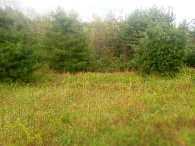 Lot 21 Fox Crest Overlook, Laurel Springs, NC 28644, USA