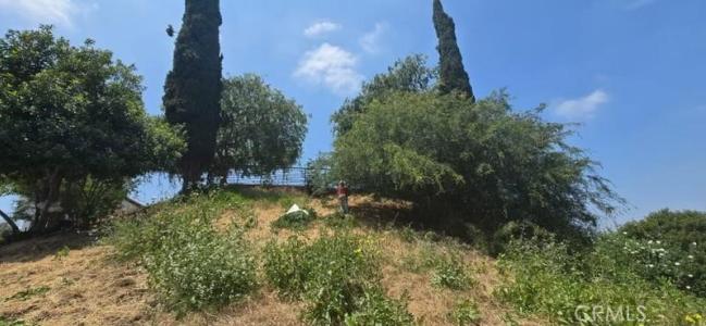 4322 Scandia Way, Los Angeles, California 90065, USA