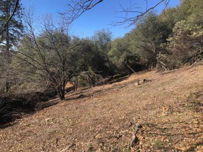 Sunnyside Drive, Shingle Springs, Califórnia 95682, Estados Unidos