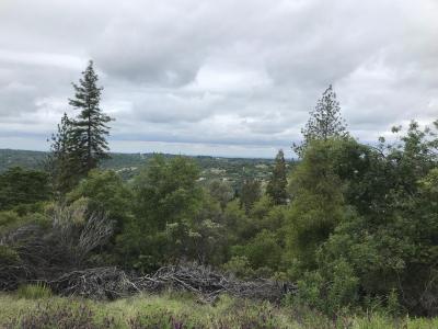 Sunnyside Drive, Shingle Springs, Califórnia 95682, Estados Unidos