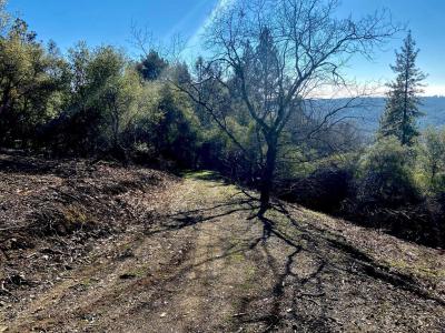 Sunnyside Drive, Shingle Springs, Califórnia 95682, Estados Unidos
