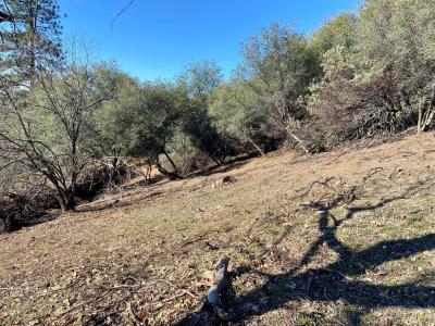 Sunnyside Drive, Shingle Springs, Califórnia 95682, Estados Unidos