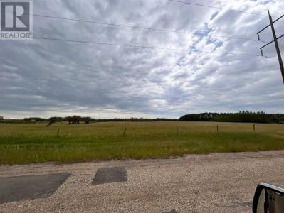 273120 RANGE ROAD 292 NORTHEAST, Airdrie, Альберта T4A 2L5, Канада