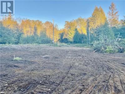 0 STONEY SETTLEMENT ROAD, Tudor And Cashel (tudor Ward), Ontario K0K 1Y0, Kanada