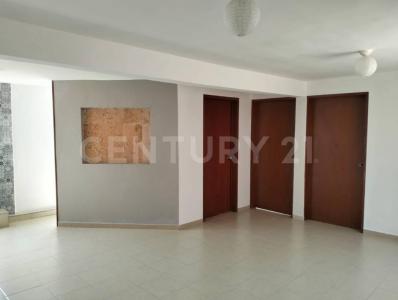 Pirineos 93  A503,, Benito Juárez, Ciudad De México 03300, México