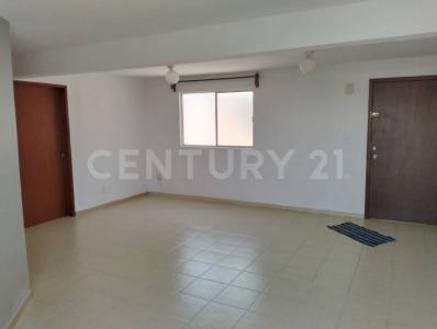 Pirineos 93  A503,, Benito Juárez, Ciudad De México 03300, México