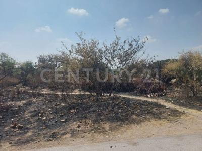 Avenida Papaloapan ,, Mexquitic De Carmona, סן לואיס פוטוסי 78483, מקסיקו