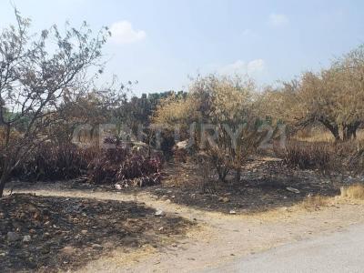 Avenida Papaloapan ,, Mexquitic De Carmona, סן לואיס פוטוסי 78483, מקסיקו