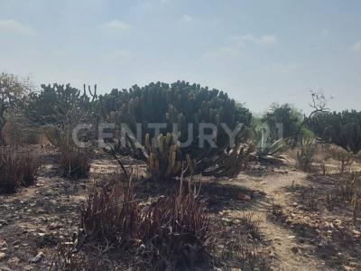 Avenida Papaloapan ,, Mexquitic De Carmona, סן לואיס פוטוסי 78483, מקסיקו