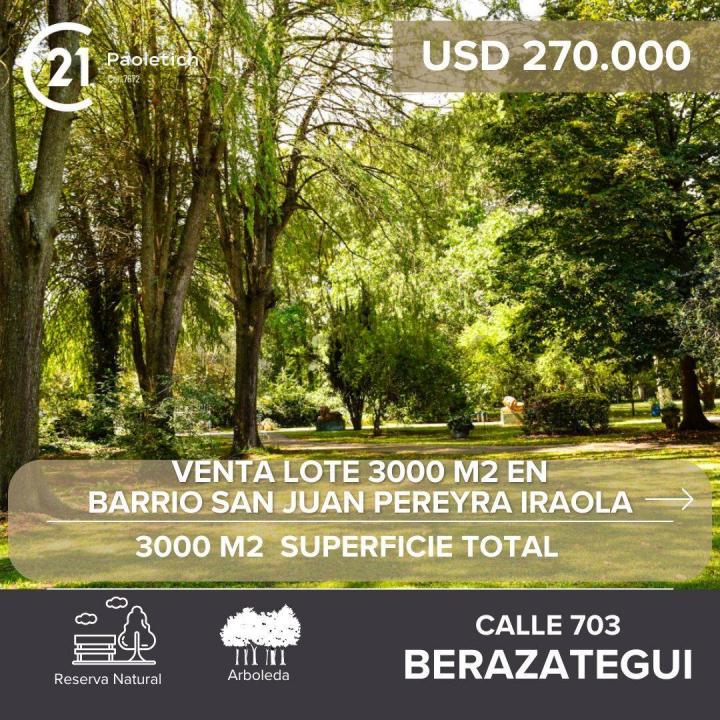 703 , Berazategui, GBA Sur 1894, Argentine