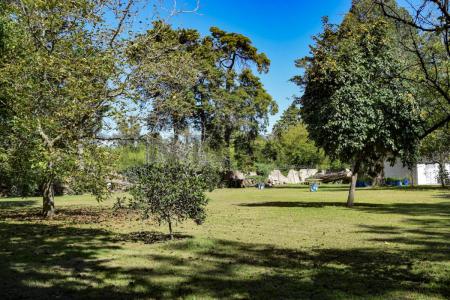 703 , Berazategui, GBA Sur 1894, Argentine