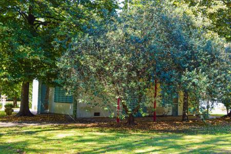 703 , Berazategui, GBA Sur 1892, الأرجنتين