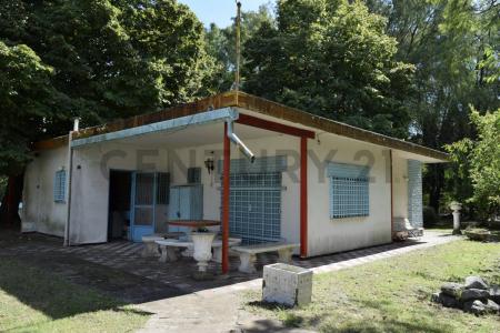 703 , Berazategui, GBA Sur 1892, الأرجنتين