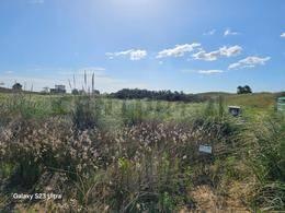 Km 427 Ruta Provincial 11 , Villa Gesell, Buenos Aires Costa Atlántica B7165, Argentine