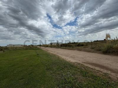 Km 427 Ruta Provincial 11 , Villa Gesell, Buenos Aires Costa Atlántica B7165, Arjantin