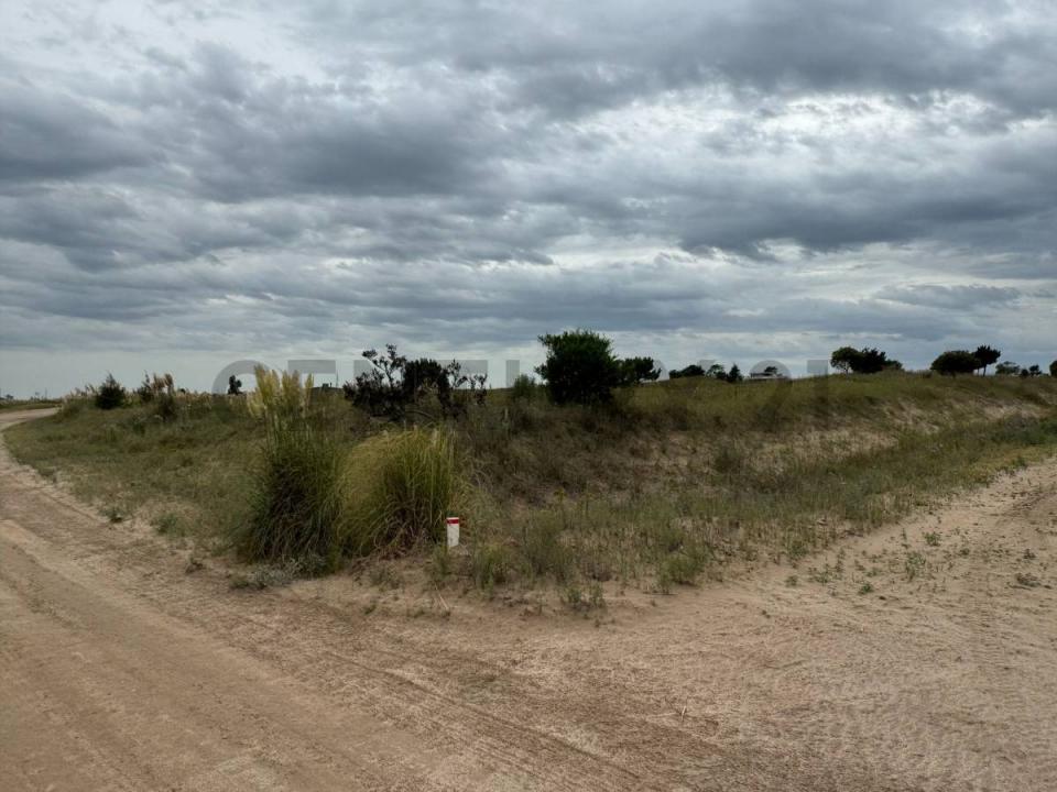 Km 427 Ruta Provincial 11 , Villa Gesell, Buenos Aires Costa Atlántica B7165, Argentyna