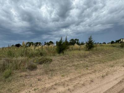 Km 427 Ruta Provincial 11 , Villa Gesell, Buenos Aires Costa Atlántica B7165, Argentyna