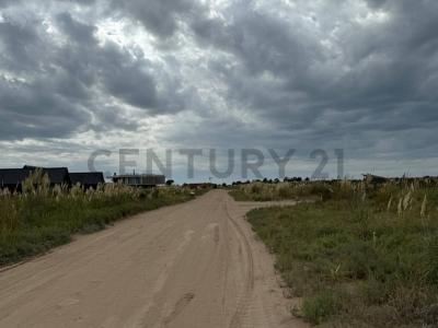 Km 427 Ruta Provincial 11 , Villa Gesell, Buenos Aires Costa Atlántica B7165, Argentyna