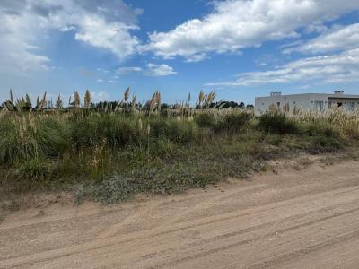 Km 427 Ruta Provincial 11 , Villa Gesell, Buenos Aires Costa Atlántica B7165, Arjantin