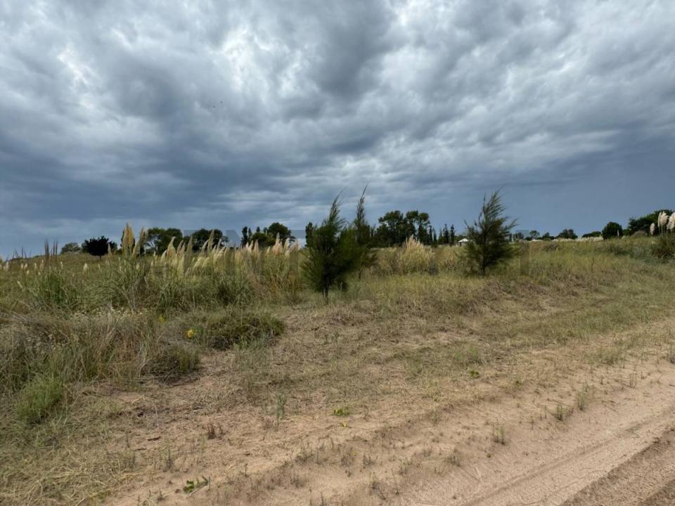 Km 427 Ruta Provincial 11 , Villa Gesell, Buenos Aires Costa Atlántica B7165, Argentyna