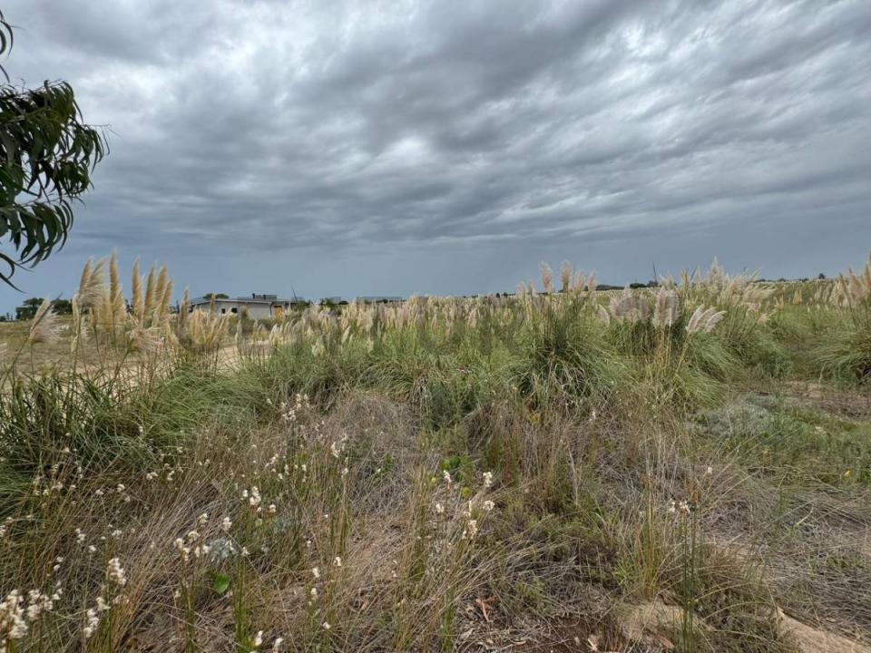 Km 427 Ruta Provincial 11 , Villa Gesell, Buenos Aires Costa Atlántica B7165, Argentina