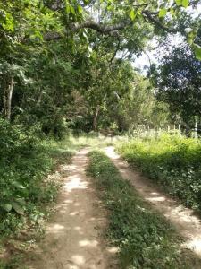 Zona Oeste de la localidad de porongo , Urubo, Santa Cruz 00001, بوليفيا