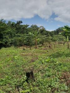 Zona Oeste de la localidad de porongo , Urubo, Santa Cruz 00001, بوليفيا