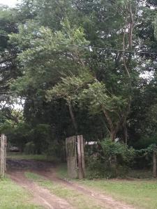 Zona Oeste de la localidad de porongo , Urubo, Santa Cruz 00001, بوليفيا