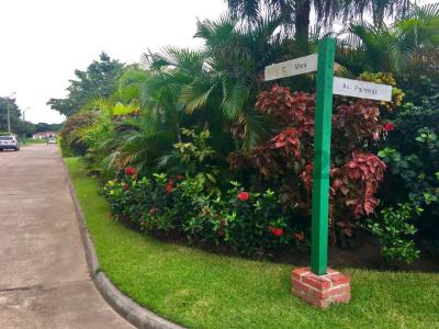 Urbanizacion Polo Country Club, Municipio de Warnes, Lote 5 , Norte, Santa Cruz 00001, Bolivie