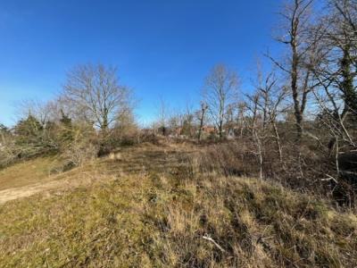 C. Permekelaan 35, Sint-idesbald, 8670, بلجيكا