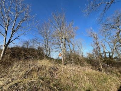 C. Permekelaan 35, Sint-idesbald, 8670, بلجيكا