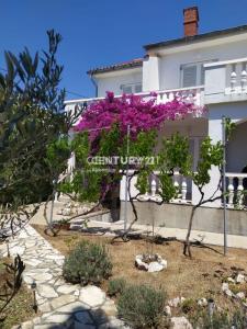 Rab, Barbat na Rabu, Rab, Primorsko-goranska Županija, Slovenia